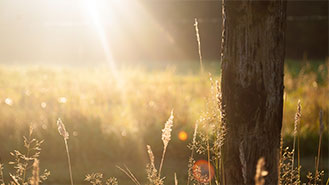 短信测压在线平台