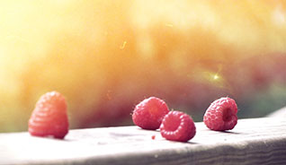 哪买不会翻车的短信在线云呼轰炸